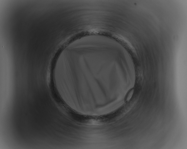 X0000100370496200806271447