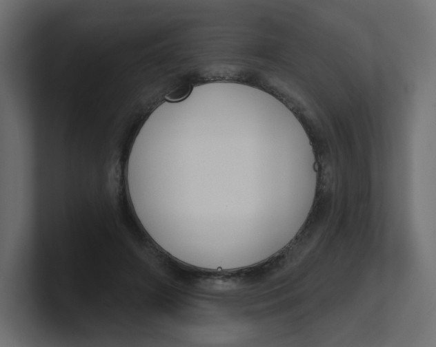 X0000100370498200806271447