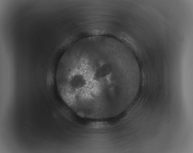 X0000100370499200806271447