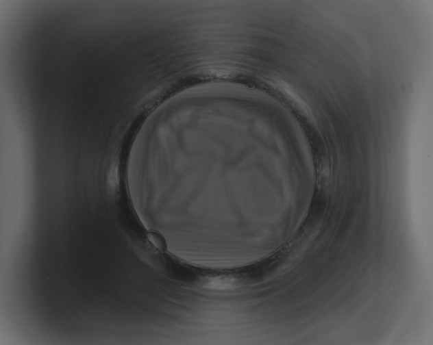 X0000100370500200806271447