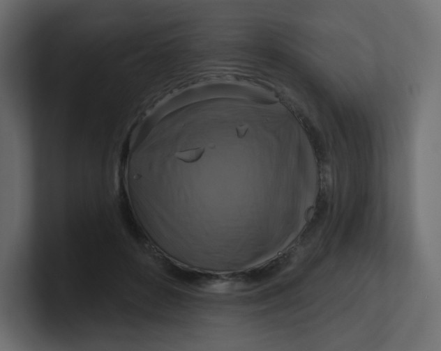 X0000100370504200806271447