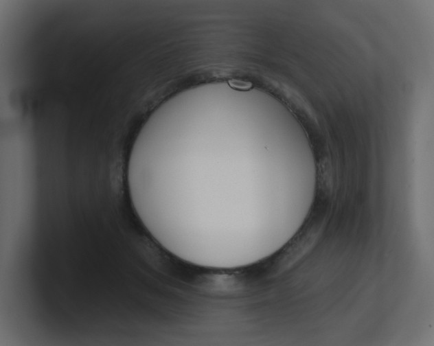 X0000100370509200806271447