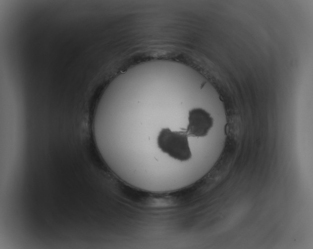 X0000100370510200806271447