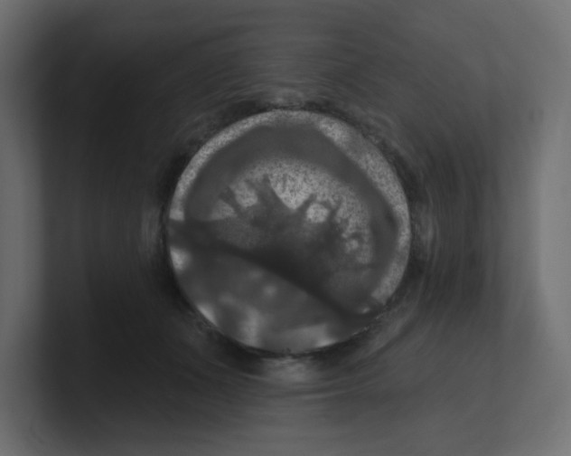 X0000100370511200806271447