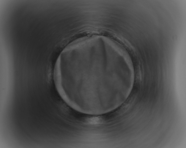 X0000100370513200806271447