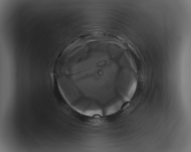 X0000100370516200806271447