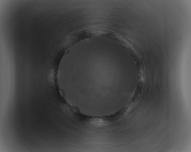 X0000100370519200806271447