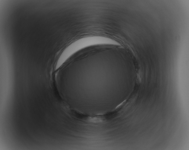 X0000100370520200806271447