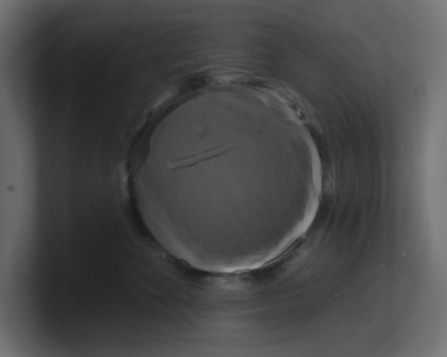 X0000100370524200806271447