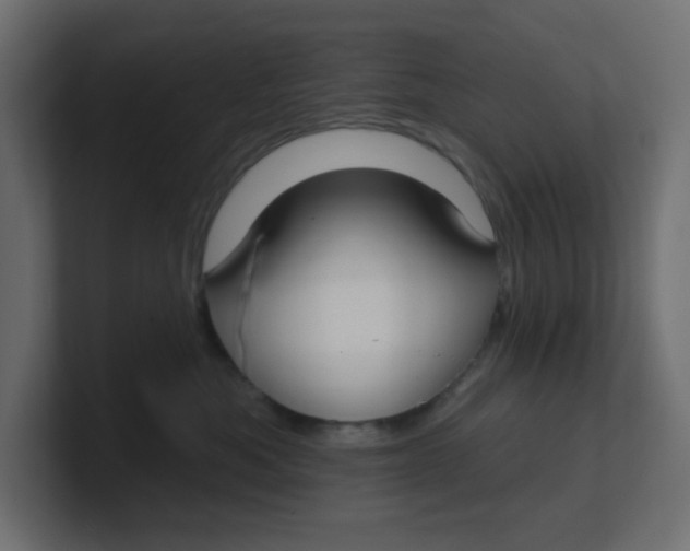 X0000100370525200806271447