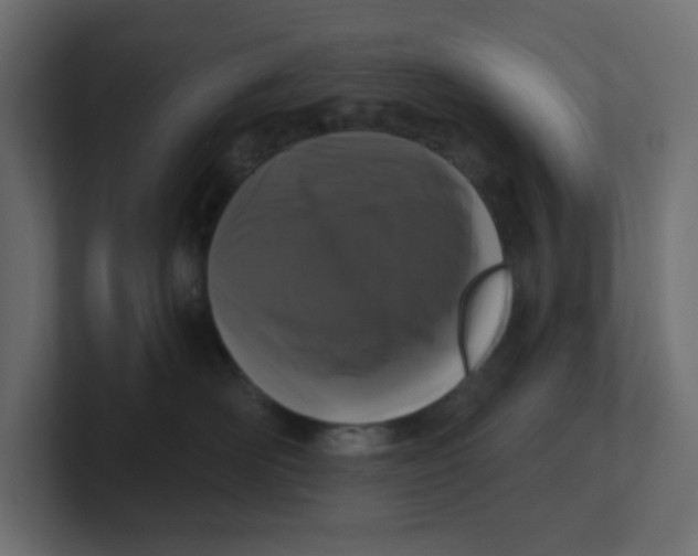 X0000100370526200806271446