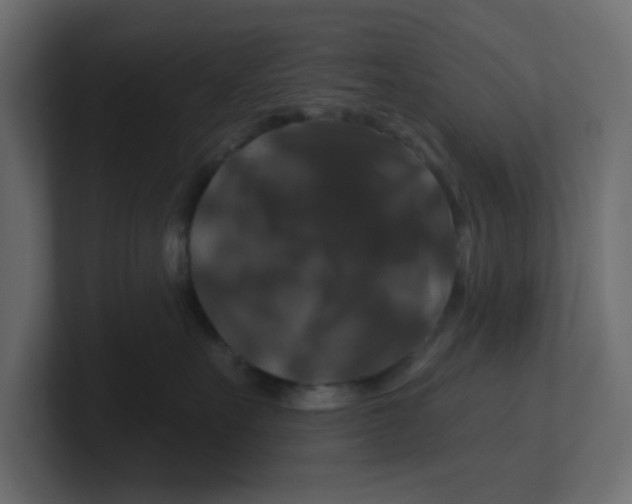 X0000100370527200806271446