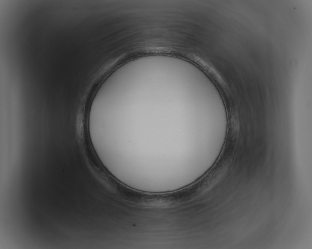 X0000100370533200806271446