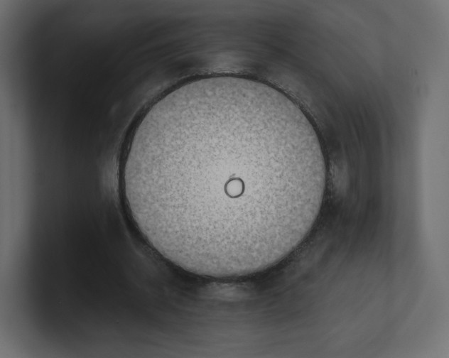 X0000100370534200806271446