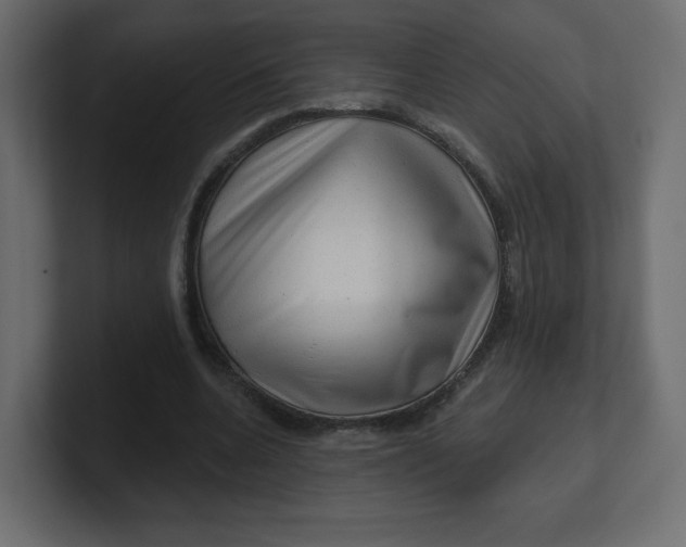 X0000100370536200806271446