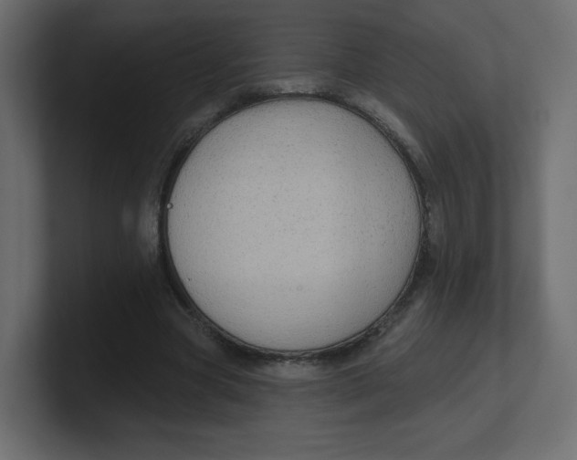 X0000100370537200806271446