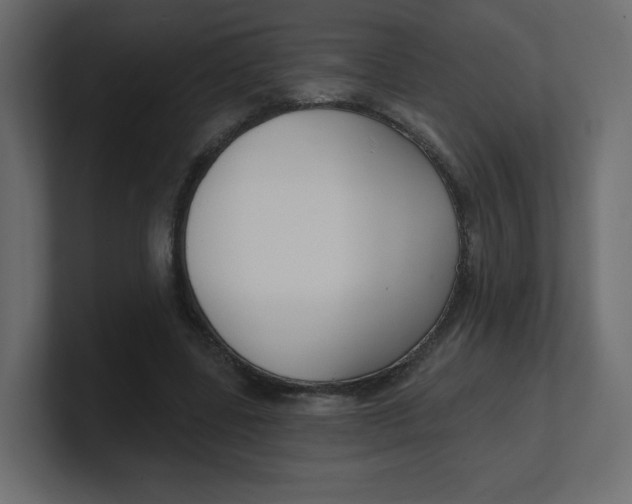 X0000100370539200806271446