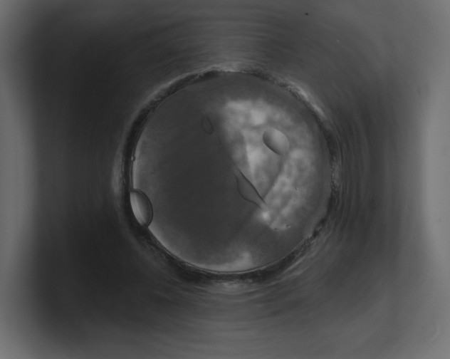 X0000100370540200806271446