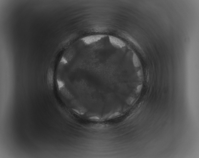 X0000100370542200806271446