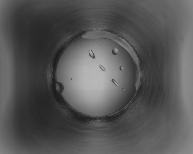 X0000100370544200806271446