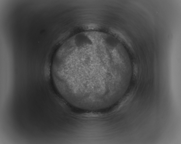 X0000100370545200806271446