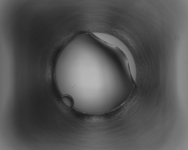 X0000100370546200806271446