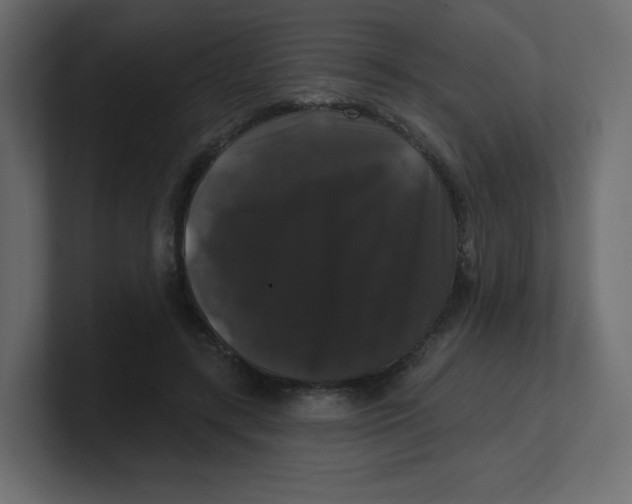 X0000100370547200806271446