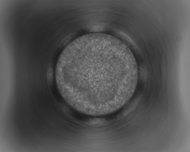 X0000100370549200806271446