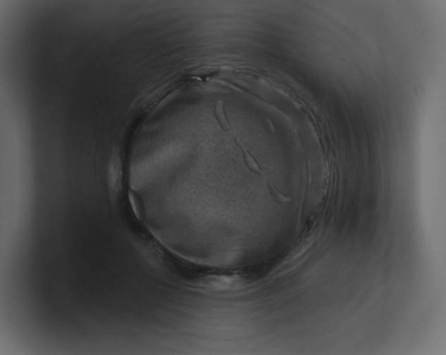 X0000100370552200806271446