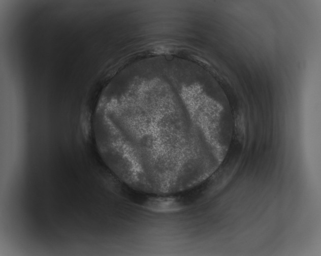 X0000100370554200806271446