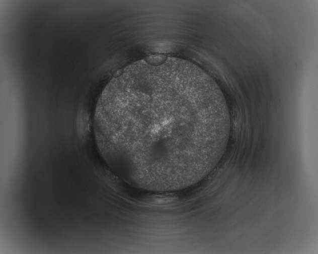 X0000100370555200806271446