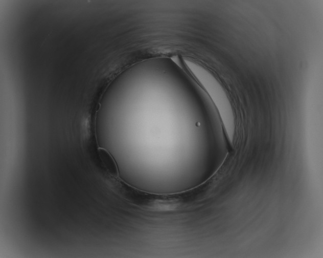 X0000100370556200806271446