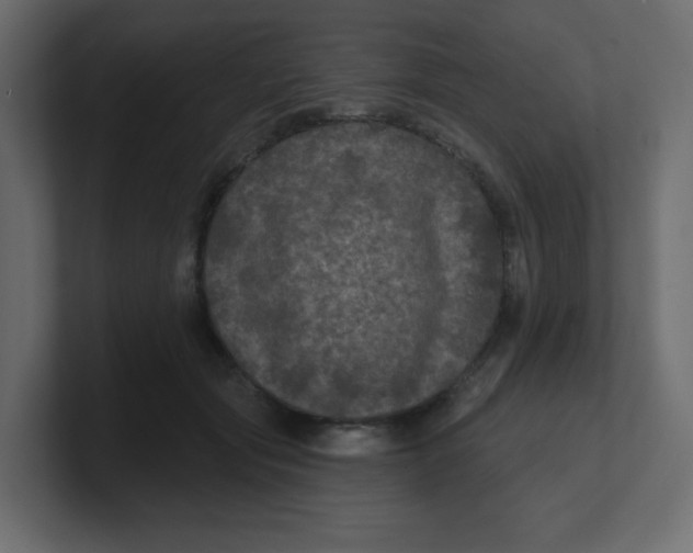 X0000100370557200806271446