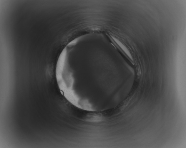 X0000100370559200806271446