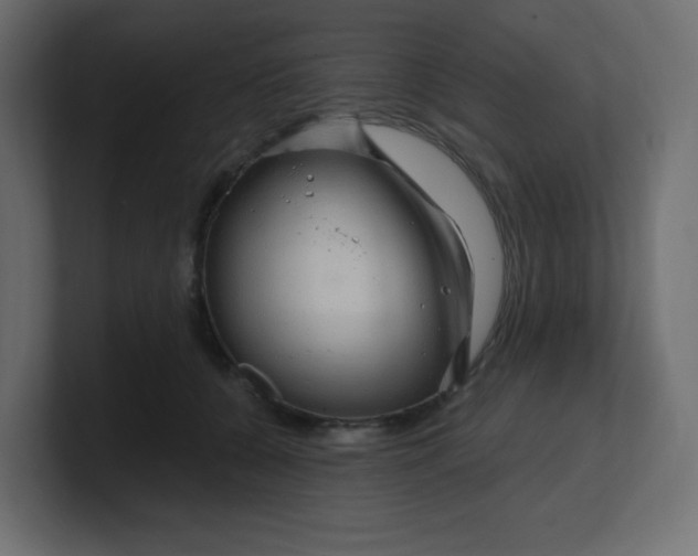 X0000100370560200806271446