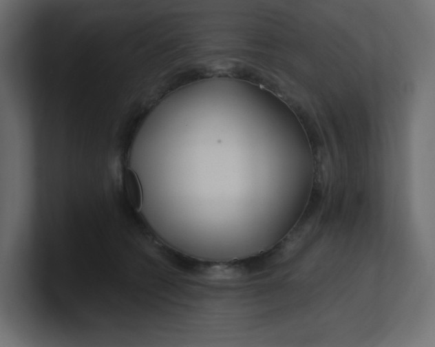 X0000100370562200806271446