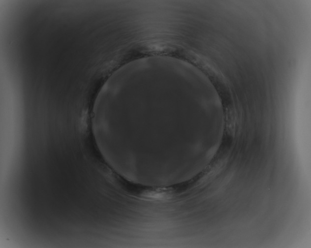 X0000100370563200806271446