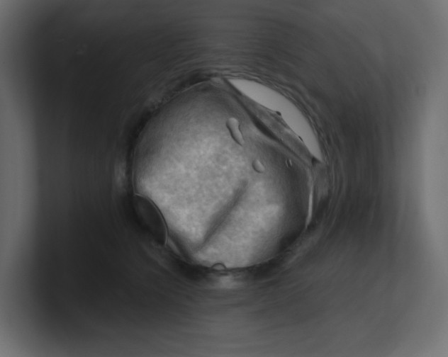 X0000100370564200806271446