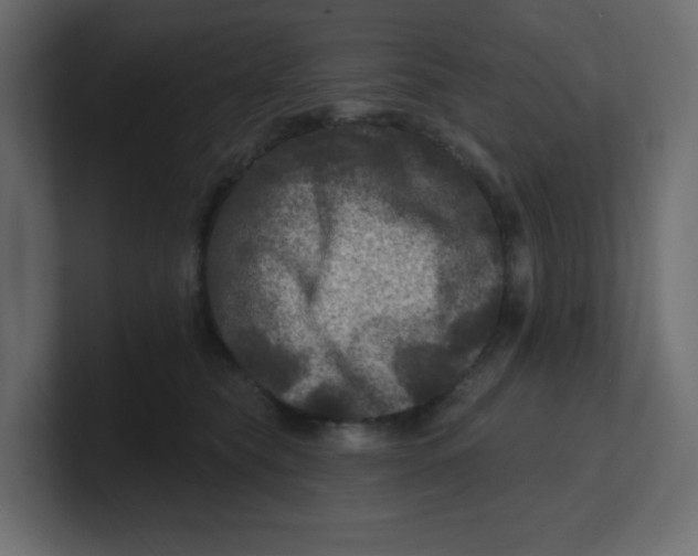 X0000100370565200806271446