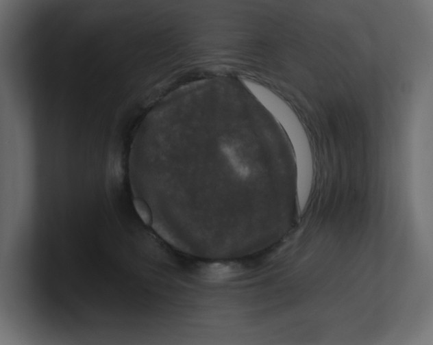 X0000100370566200806271446