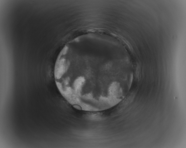 X0000100370569200806271446