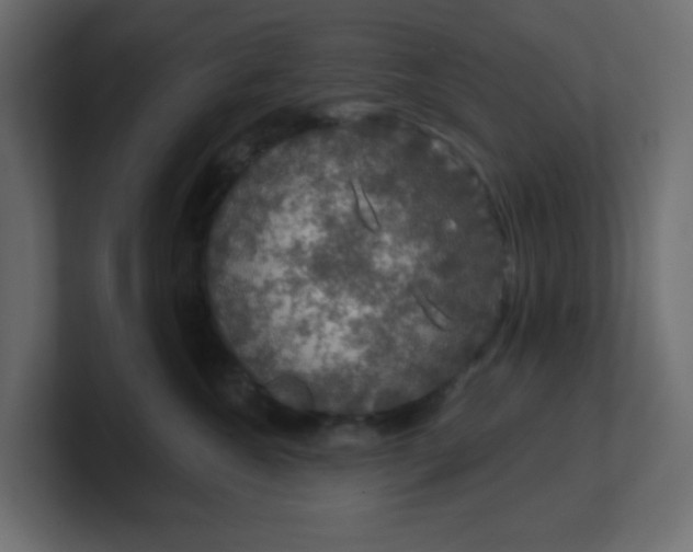 X0000100370572200806271446