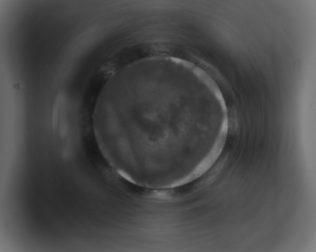 X0000100370573200806271446