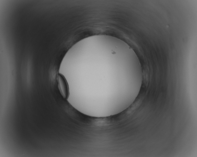 X0000100370574200806271446