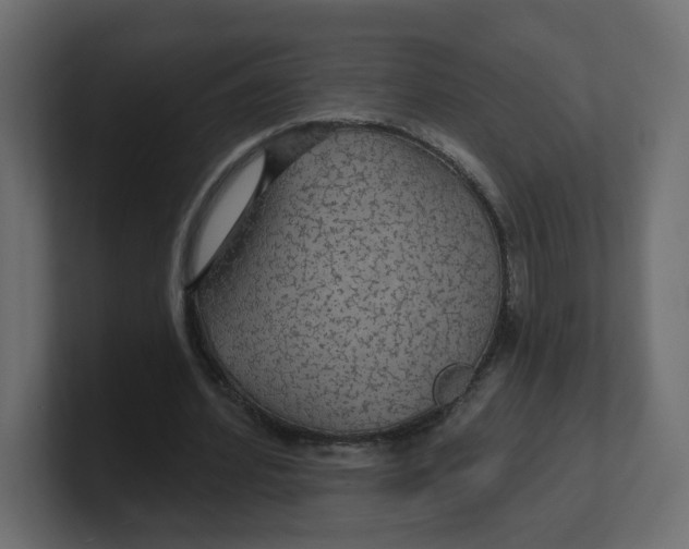 X0000100370580200806271446