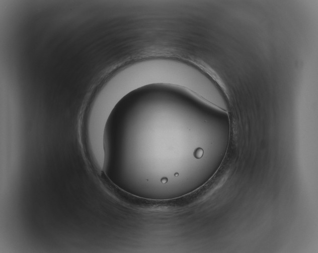 X0000100370581200806271446