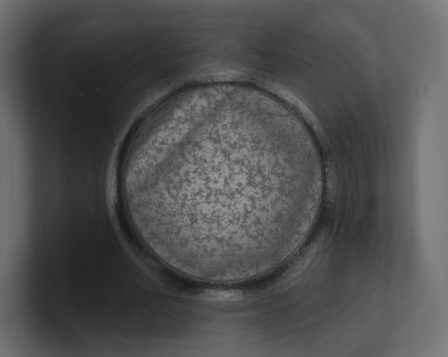 X0000100370582200806271446