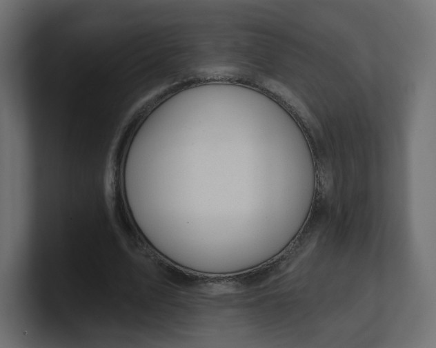 X0000100370583200806271446