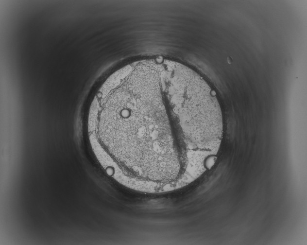 X0000100370584200806271446