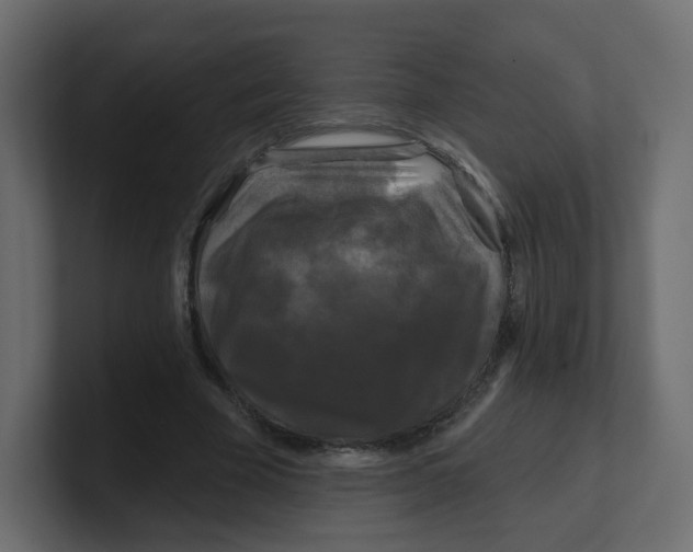 X0000100370585200806271446